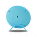 Portable Cheap Price Blue tooth System Factory Speaker